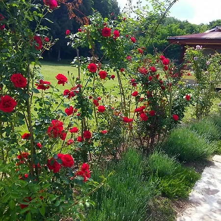 Kovanlika Ξενοδοχείο Ράζγκραντ