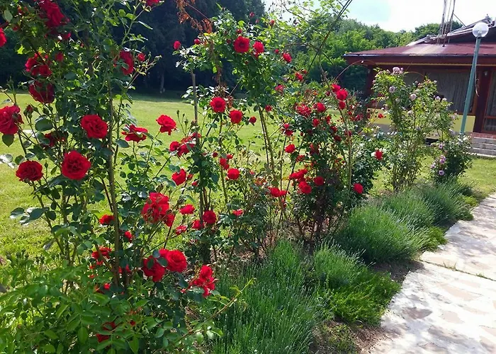 Kovanlika Ξενοδοχείο Ράζγκραντ